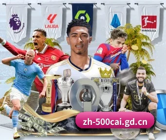 500万网彩票 APP